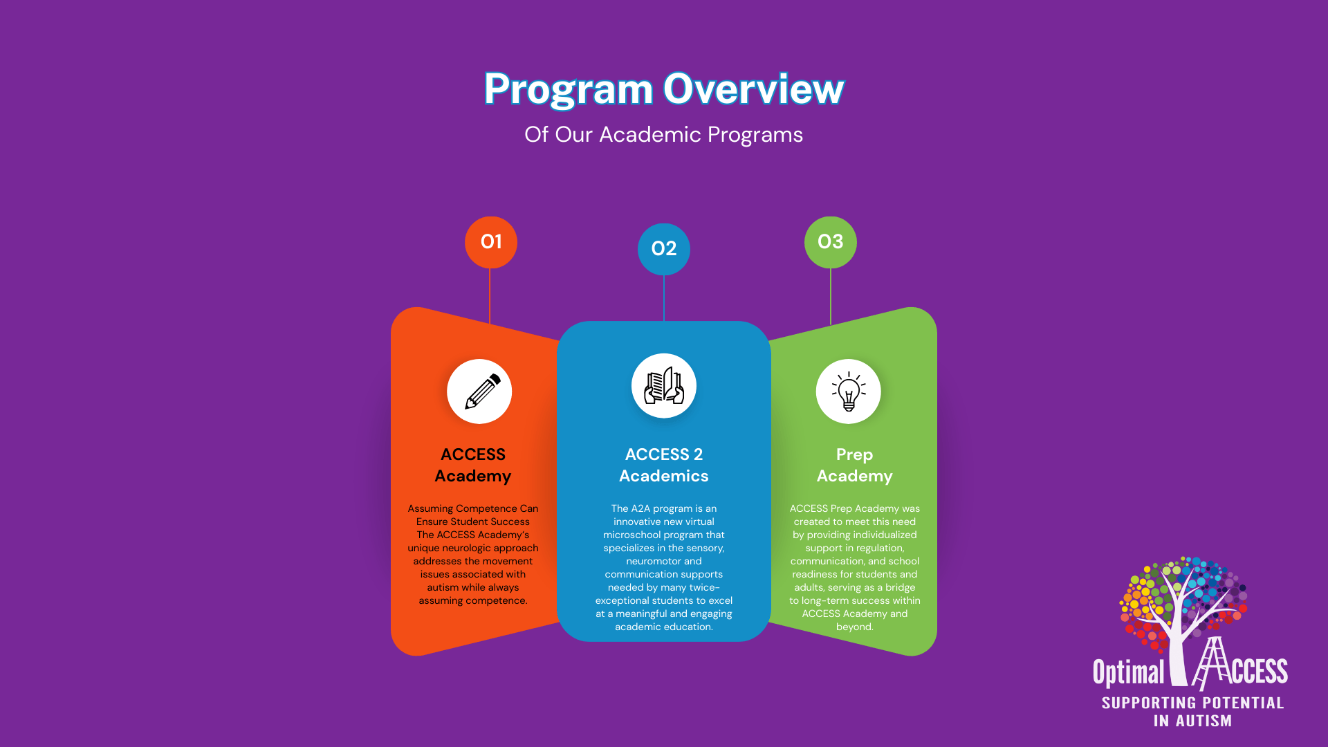 Program Overview Photo